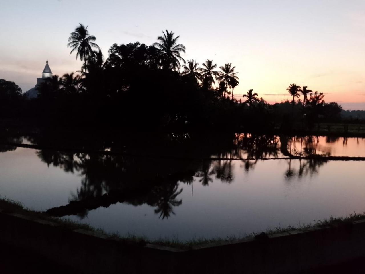 Black Panther Yala Tissamaharama Buitenkant foto